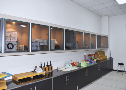 The Lahore City College